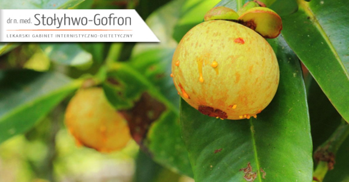 HydroxyCitrinic Acid – Garcinia Cambogia